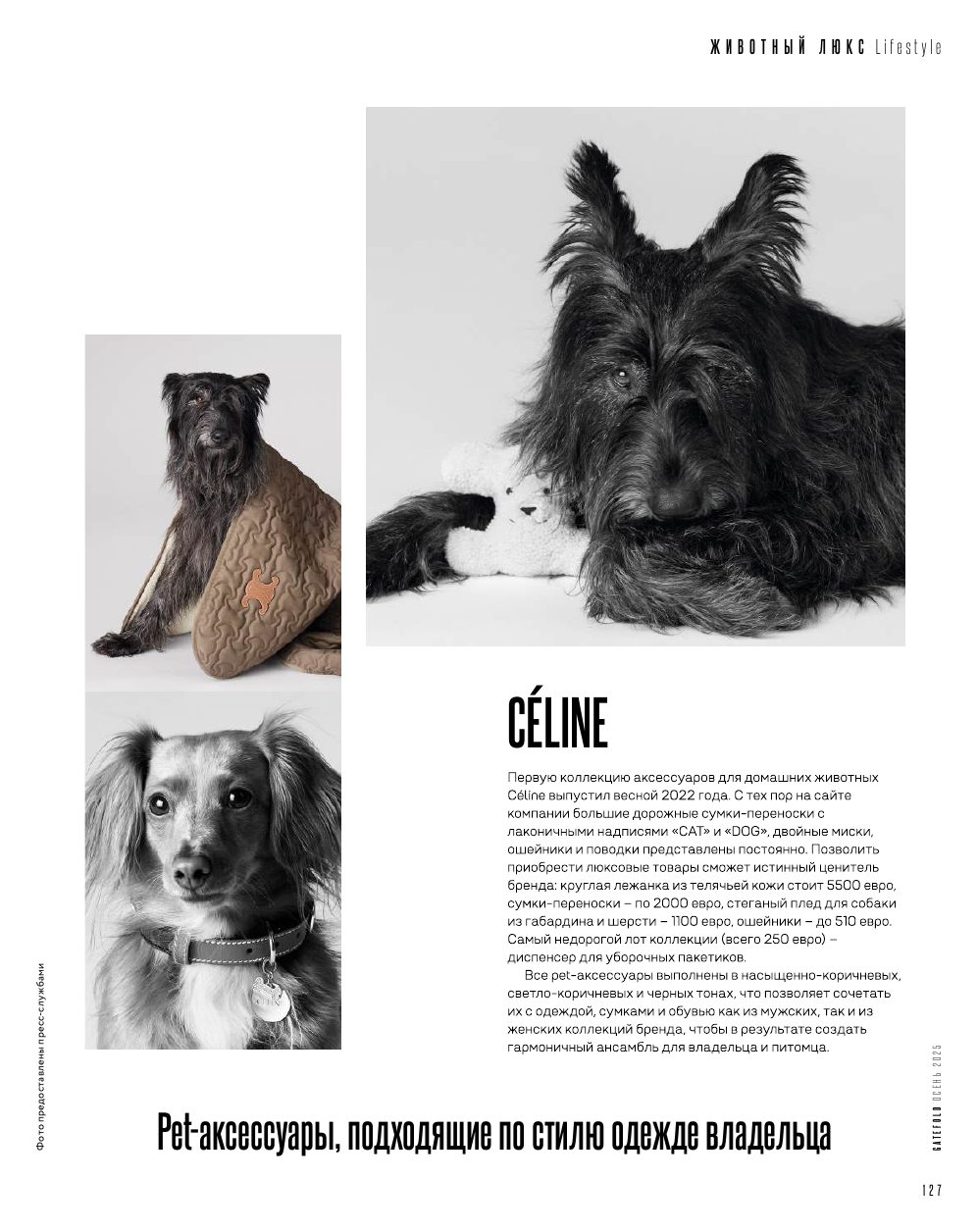 Armani Pet Collection